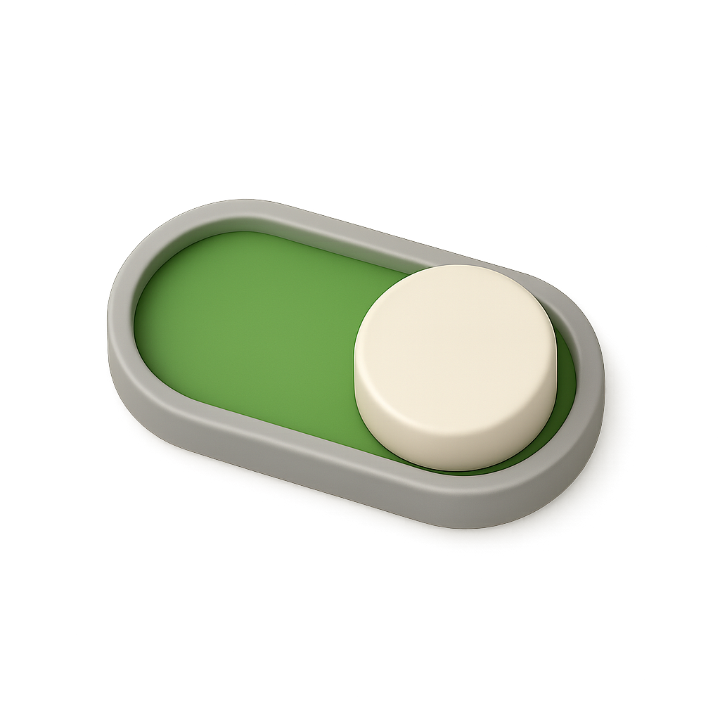 Toggle Switch