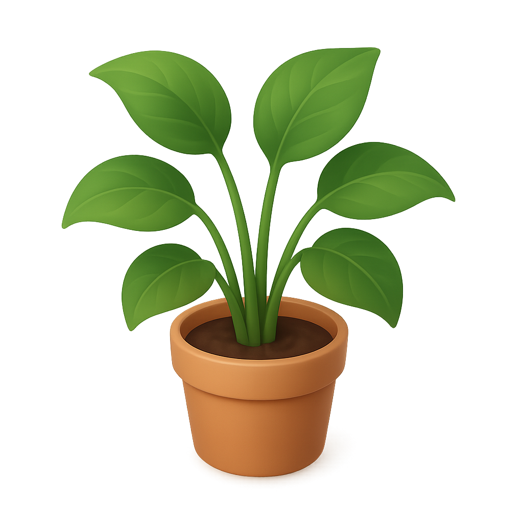 Houseplant