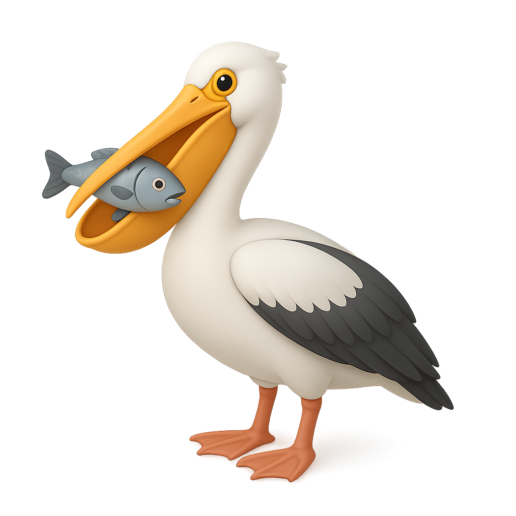 Pelican