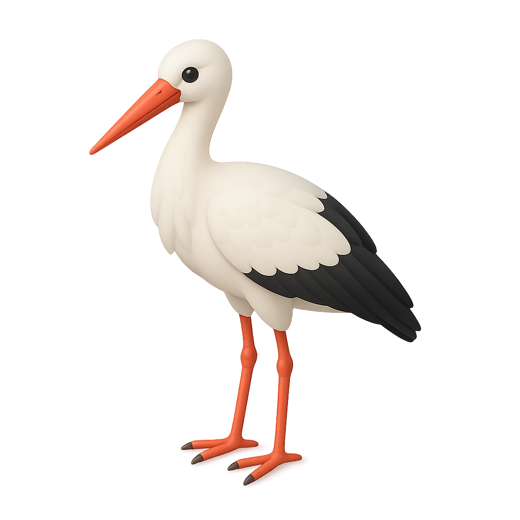 Stork