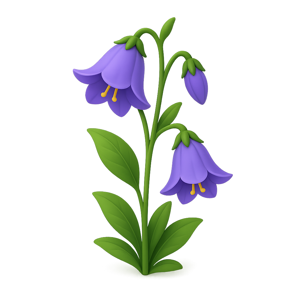 Bellflower