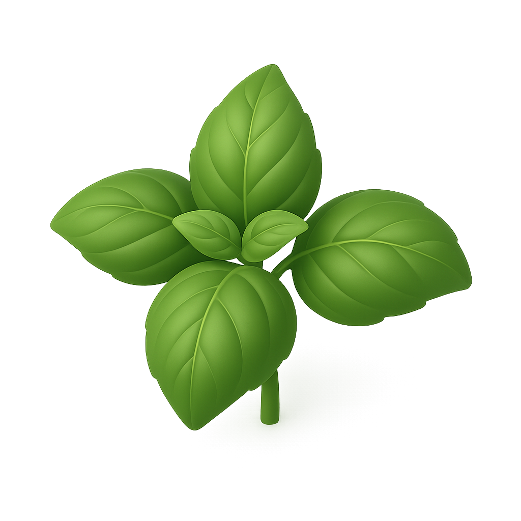 Basil