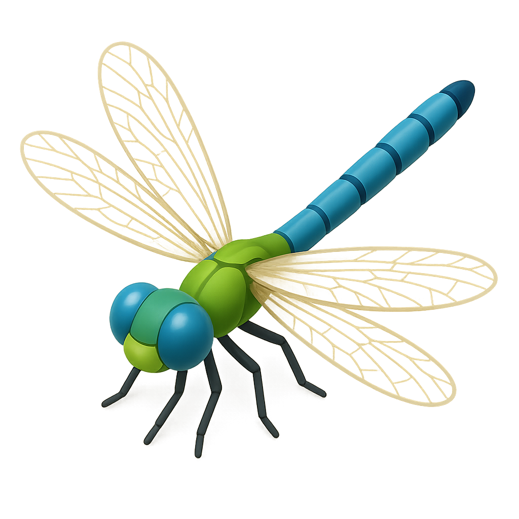 Dragonfly