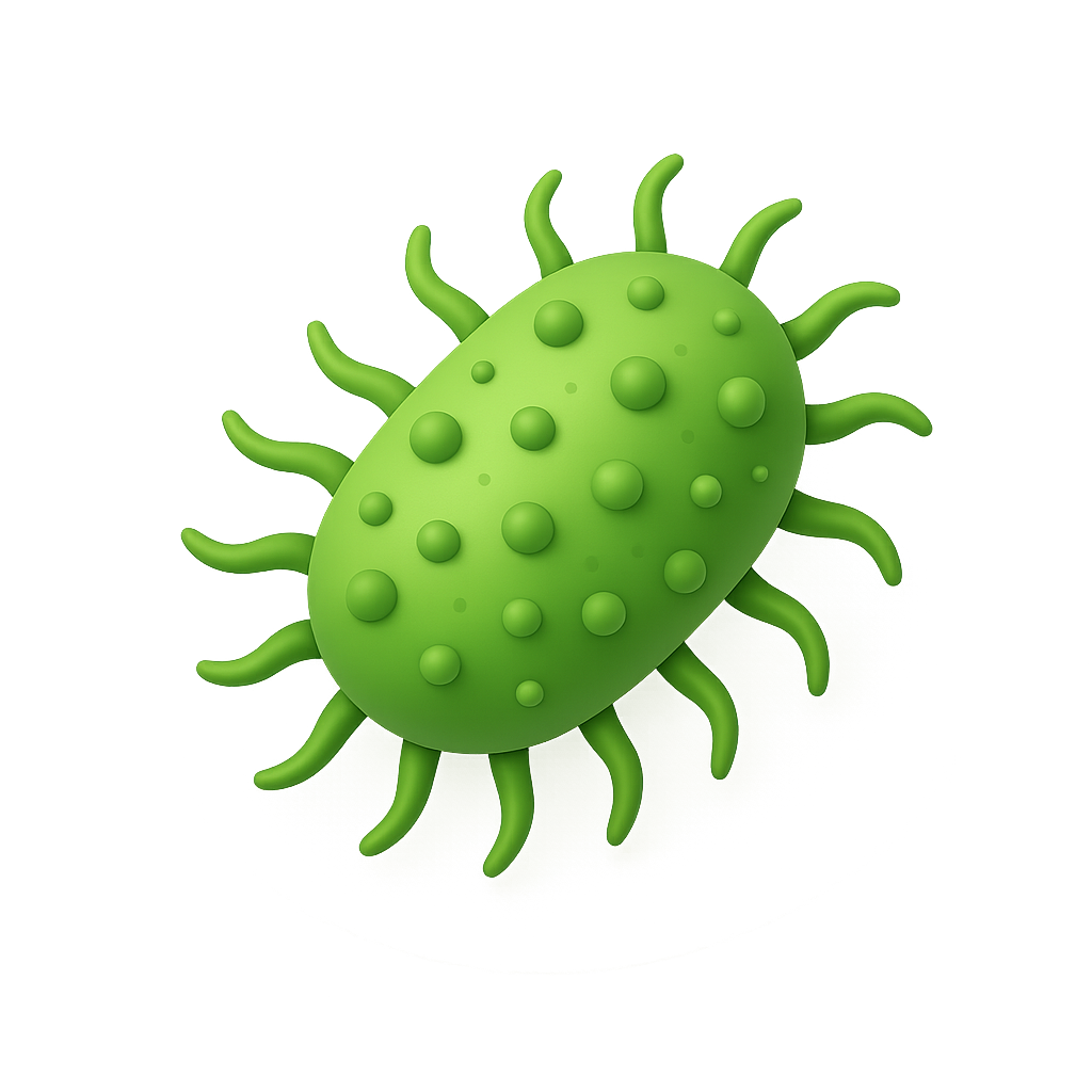 Bacteria