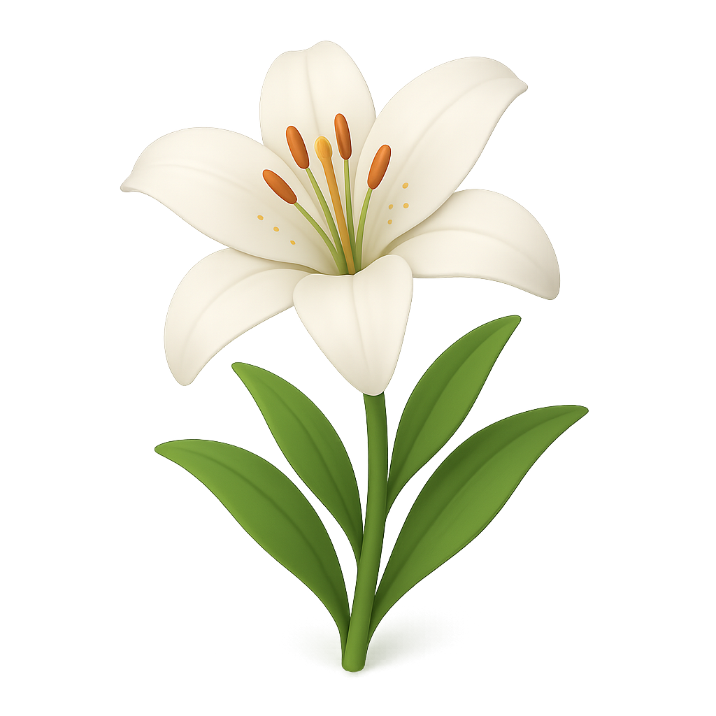 Lily