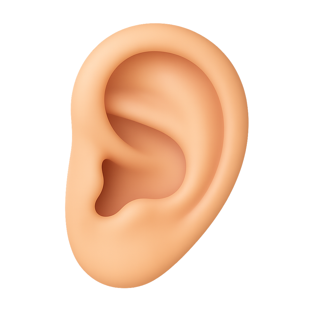 Ear