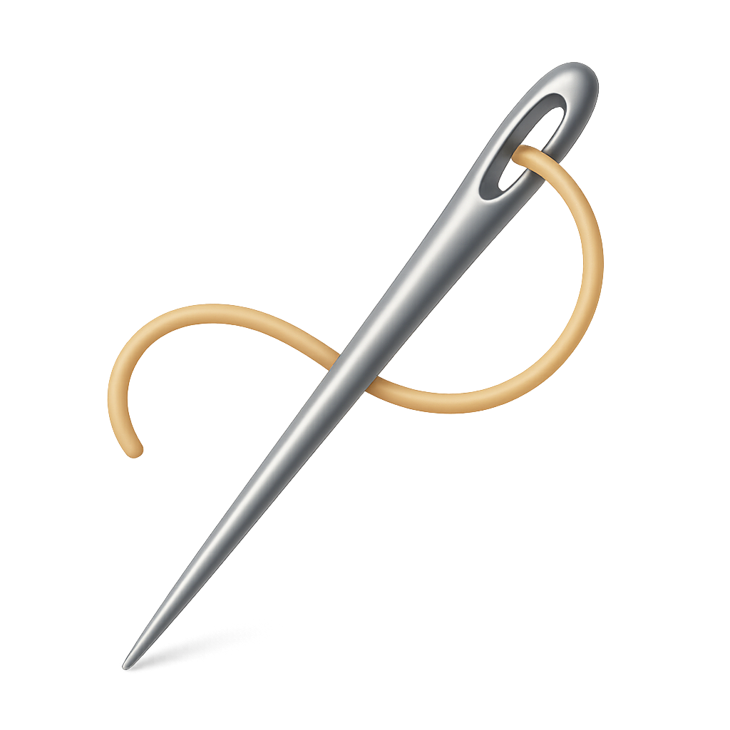 Needle