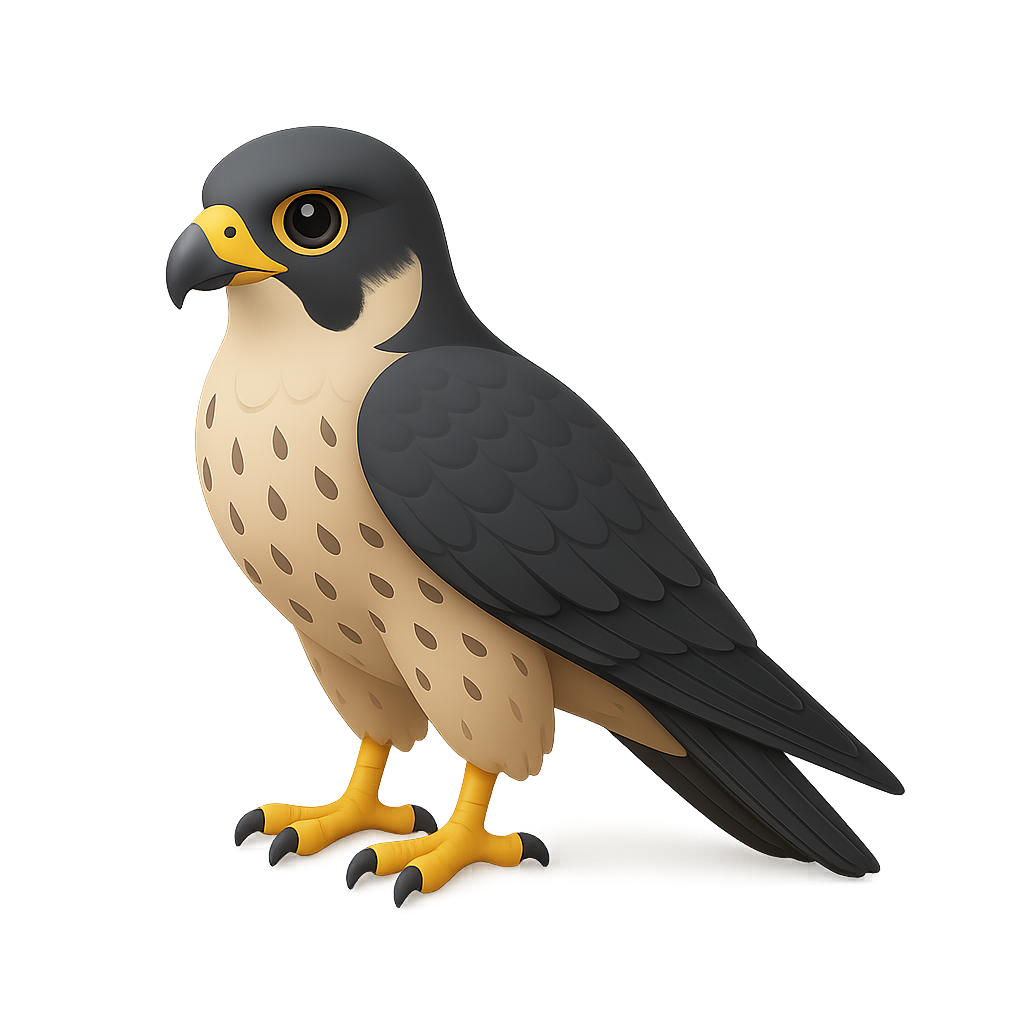 Falcon