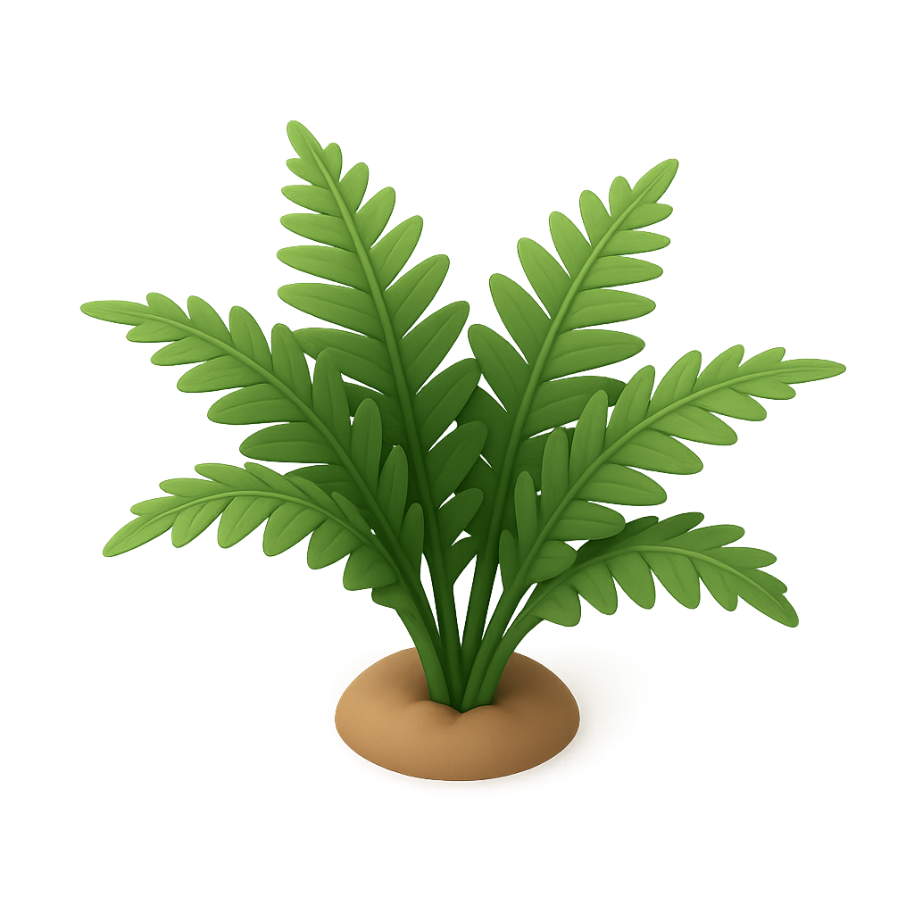 Fern