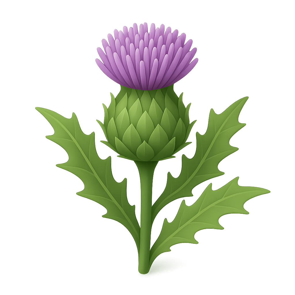 Thistle