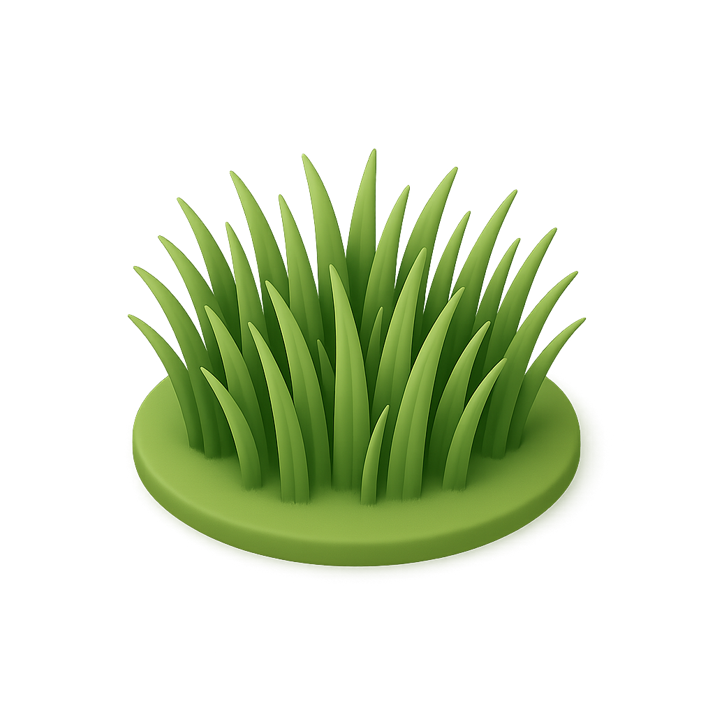 Grass