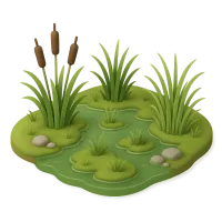 Marsh