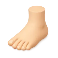 Foot