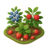 Berry Patch