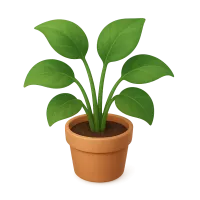 Houseplant