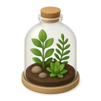 Plant Terrarium