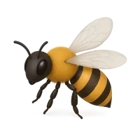 Honey Bee