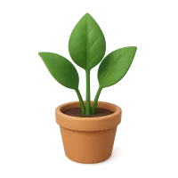 Plant Pot