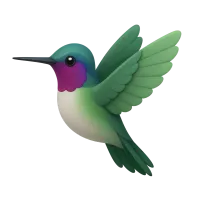 Hummingbird
