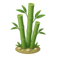 Bamboo