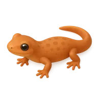 Newt
