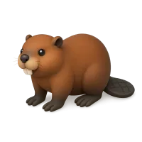 Beaver