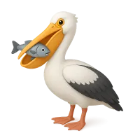 Pelican