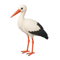 Stork