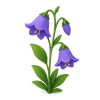 Bellflower