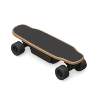 Electric Skateboard