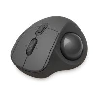 Designer Mouse