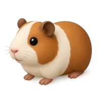 Guinea Pig