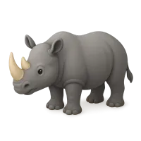 Rhinoceros