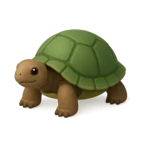Tortoise