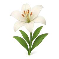 Lily