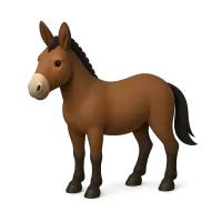 Mule