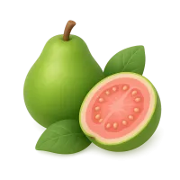 Guava