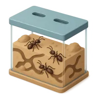 Ant farm