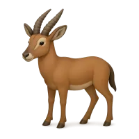 Common Antelope
