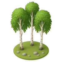 Birch Grove