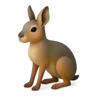 Patagonian Mara