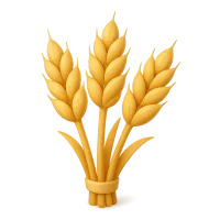 Wheat
