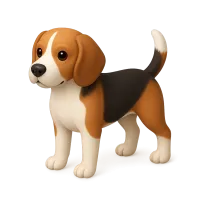 Beagle