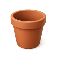 Terracotta Pot