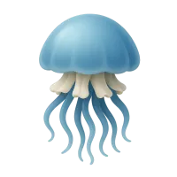 Jellyfish