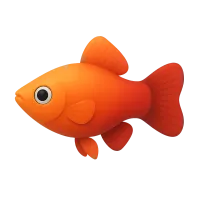 Platies