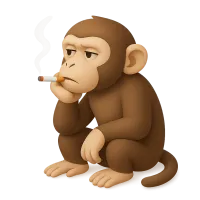 Introspective Monkey