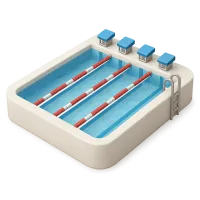 Olympic Swimming Pool