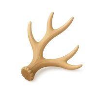 Antler Shed