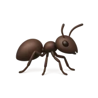 Ant